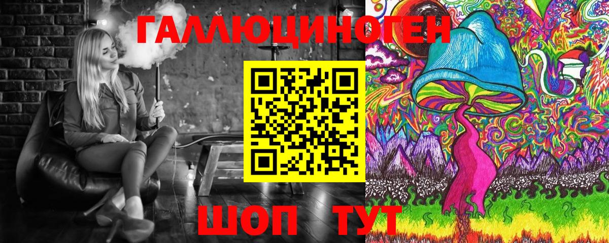 Галлюциногенные грибы Psilocybine cubensis Торжок